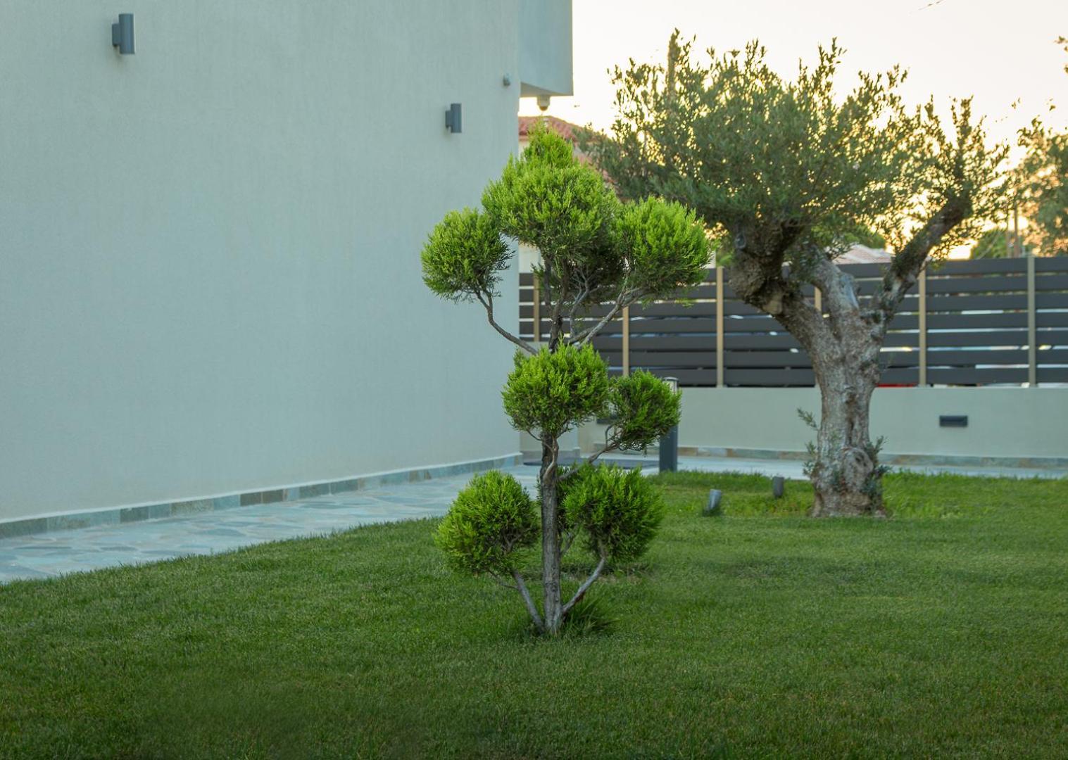 Oliva Suites Nikiti  Exterior photo